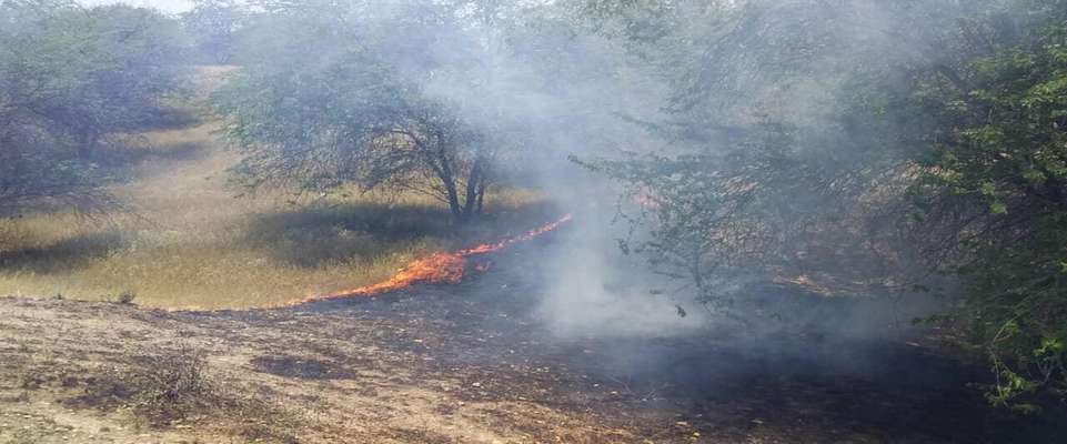 آتش‌سوزی جنگل خسرج مهار شد/اعلام آماده باش به یگان ارتش حمیدیه و هلال احمر