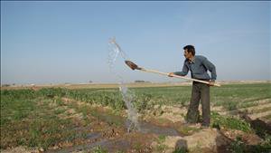 عقد قرارداد آب زمستانه در شبکه های آبیاری شمال خوزستان آغاز شد