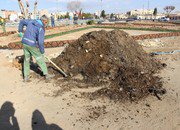 تولید بیش از پنجاه تن خاک برگ در سازمان سیما ، منظر و فضای سبز شهرداری شاهین شهر