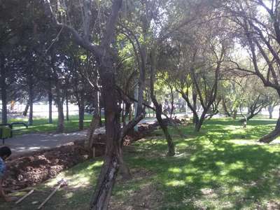 پروژه بهبود وضعیت روشنایی بوستان دانش آموز در دست اجراست