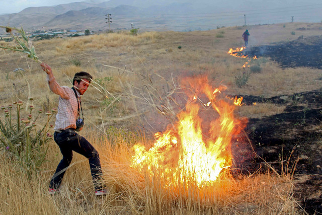 آتش‌سوزی ۵۷ هکتار از مزارع ‌‌الیگودرز