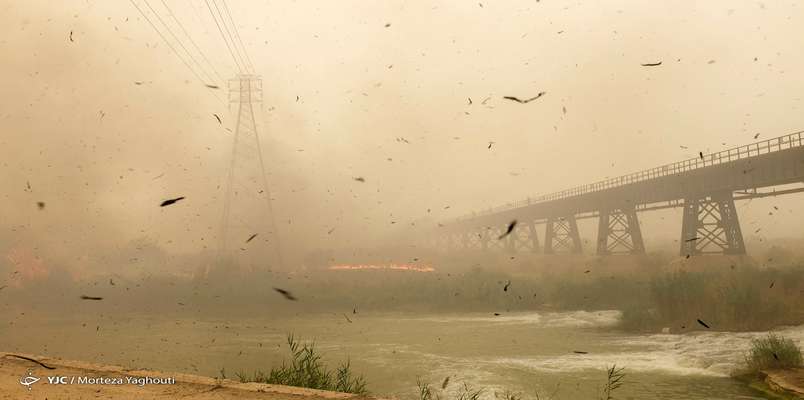 نواحی غربی کشور درگیر پدیده گرد و غبار