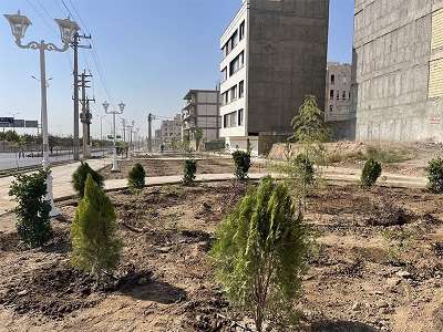 کاشت ۱۶ هزار اصله درخت و درختچه از شمال تا جنوب شهر قزوین