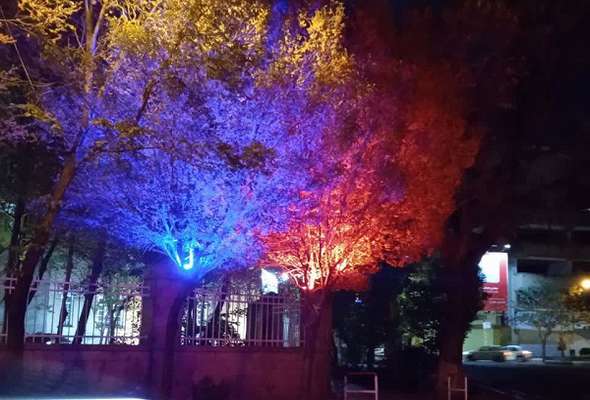 درختان خیابان تئاتر نورپردازی شدند