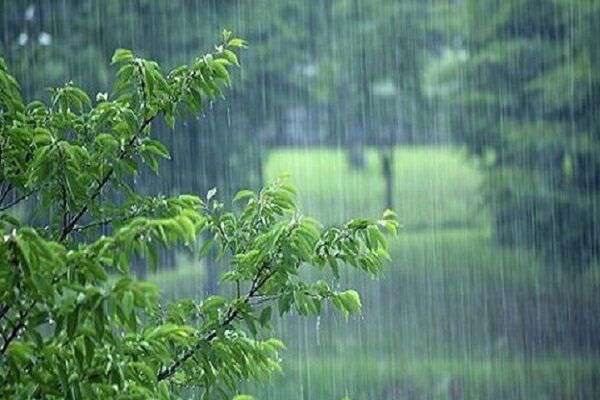بارش باران و رگبار پراکنده در بیشتر نقاط کشور تا پایان هفته