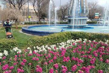 کاشت ۲۵۰ هزار بوته گل بهاره در منطقه تاریخی فرهنگی تبریز