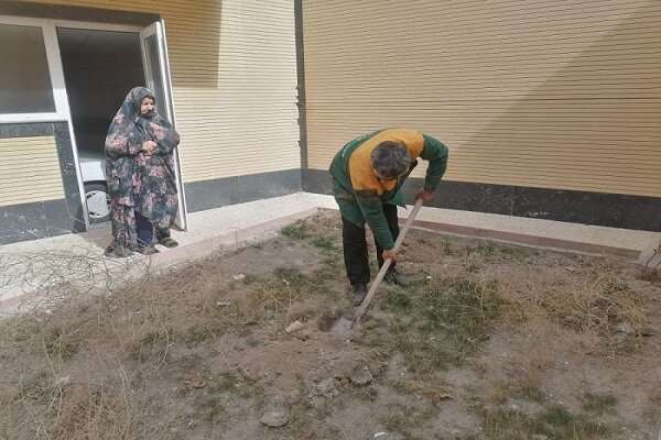 کاشت بیش از ۲۰ هزار اصله نهال در طرح "خانه سبز "