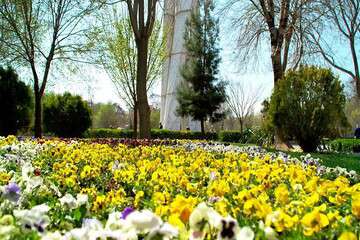 جلوه‌گری طرحهای زیبای گلکاری تبریز