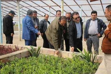 آغاز فاز دوم تولیدات گلخانه‌ای در گلخانه های جنوب غرب تبریز