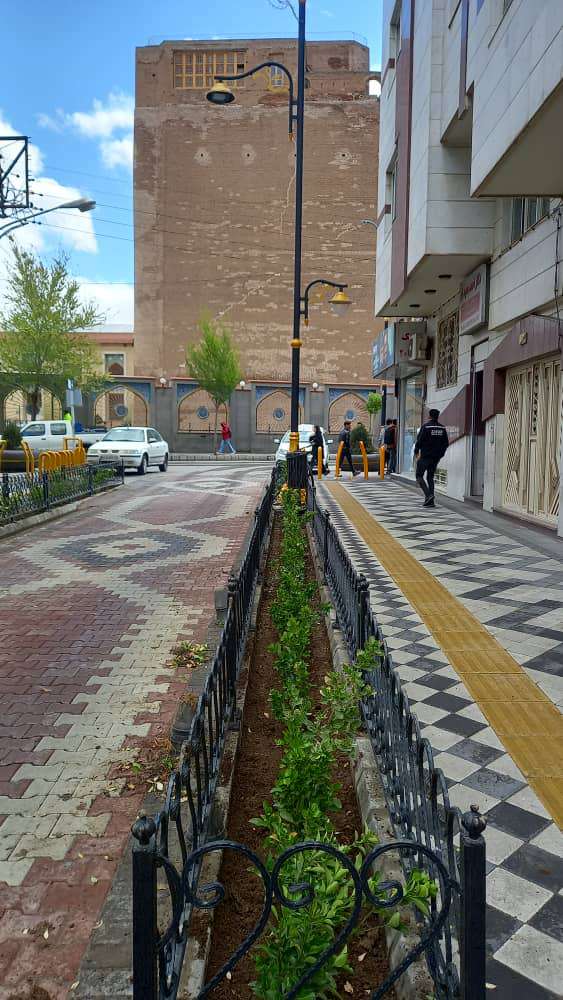 کاشت درخت و ارقام ردیفی در باغچه های پیاده راه ارک