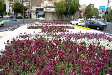 جلوه‌گری طرحهای زیبای گلکاری تبریز