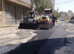 عملیات آسفالت ریزی منشعبات در سطح منطقه یک در حال اجراست