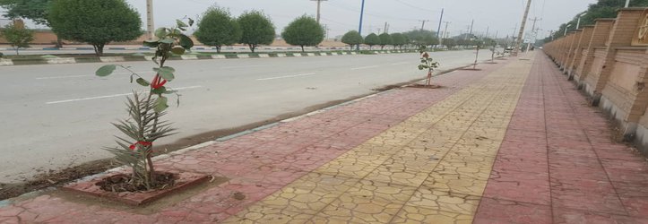 کاشت نهال ثمرده سِپستان در بلوار رسول اکرم (ص)