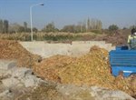 برگ های پاییزی منبعی غنی برای تولید کودهای گیاهی است
